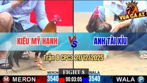 Trận 8 CPC3 21/12/2025