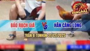 Trận 8 Tonhon 31/12/2025