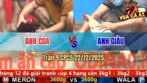 Trận 9 CPC5 22/12/2025