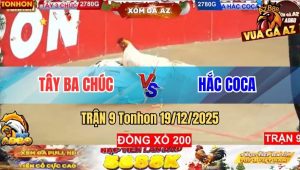 Trận 9 Tonhon 19/12/2025
