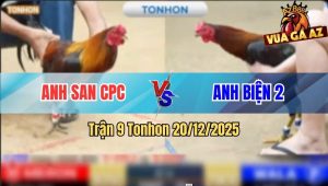 Trận 9 Tonhon 20/12/2025