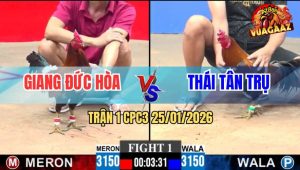 Trận 1 CPC3 25/1/2026 - Điều Anh Giang Dí Ăn 6, Xanh Đá Bể Đầu Bay Bồ