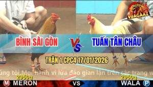 Trận 1 CPC4 17/1/2026 - Cú Ra Lùa Lớp Một Bướm Đập Cánh Nằm Đống