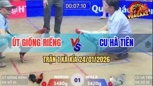 Trận 1 Xà Xía 24/1/2026 - Điều Anh Út Mở Bát Gom Phiếu, Đá Bướm Bay Bồ