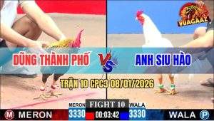 Trận 10 CPC3 8/1/2026 - Bướm Anh Siu Hào Đá Đúng Chân Cú Nằm Đập Cánh