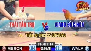 Trận 10 CPC3 25/1/2026 - Bướm Anh Thái Đâm Điều Anh Giang Quên Lối Về