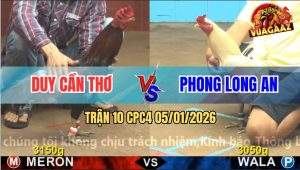 Trận 10 CPC4 5/1/2026 - Điều Mồng Lá Anh Duy Đâm Úa Té Nằm Xòe Đuôi