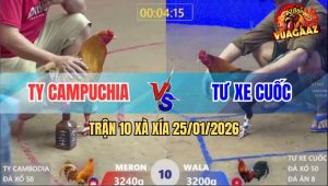 Trận 10 Xà Xía 25/1/2026 - Khét Cọp Anh Kiểm Lướt Ói Đá Điều Lật Xe