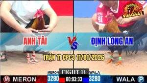 Trận 11 CPC3 11/1/2026 - Gà Que Anh Mắm Đá Cây Cần Khét Chạy Bay Bồ