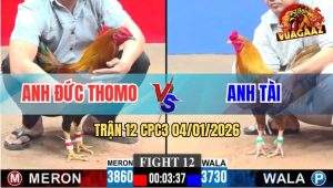 Trận 12 CPC3 4/1/2026 - Điều Cọp Anh Đức Đâm Như Máy Chém