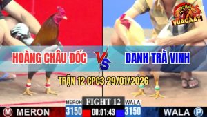 Trận 12 CPC3 29/1/2026 - Úa Đâm Ngay Ông Địa Xám Té Nằm Xòe Đuôi