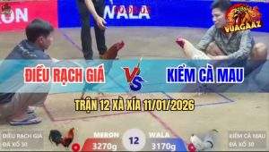 Trận 12 Xà Xía 11/1/2026 - Bướm Hiệu Anh Kiểm Đá Điều Chạy Thục Mạng