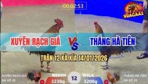 Trận 12 Xà Xía 14/1/2026 - Khét Chặn Chân Quá Hay Que Khiếp Sợ Bỏ Chạy