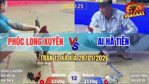 Trận 12 Xà Xía 28/1/2026 - Xám Đá Chân Chí Mạng, Bướm Quéo Cổ Tử Vong