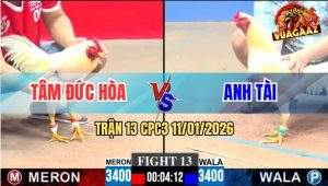 Trận 13 CPC3 11/1/2026 - Úa Đỏ Ép Sát Đá Liên Hoàn Làm Xanh Bại Trận