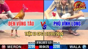 Trận 13 CPC3 27/1/2026 - Gà Vang Anh Đen Đá Bướm Không Kịp Tha Lơ