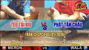 Trận 13 CPC4 5/1/2026 - Điều Đuôi Lao Anh Tèo Đá Lớp 1 Úa Chạy Cắm Đầu