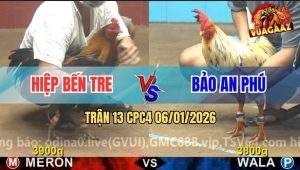 Trận 13 CPC4 6/1/2026 - Bướm Anh Bảo Tiễn Điều Lên Đường Mau Lẹ