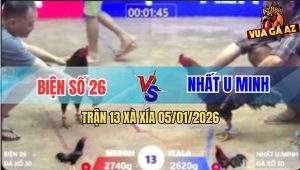 Trận 13 Xà Xía 5/1/2026 - Xanh Chặn 1 Chân Que Tắt Đèn Chạy La Làng