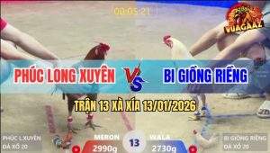 Trận 13 Xà Xía 13/1/2026 - Úa Hành Điều Ra Bã, Máu Họng Tuôn Như Mưa