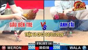 Trận 14 CPC3 4/1/2026 - Điều Anh Tài Siết Cây Lưng Bông Tàn Hết Cứu