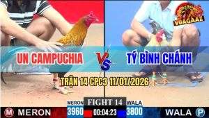 Trận 14 CPC3 11/1/2026 - Gà Que Đâm Dính Như Sam Chuối Chín Rụng Cây