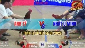 Trận 14 Xà Xía 14/1/2026 - Đỏ Vả Xanh Tơi Tả, Anh Em Về Bờ Ăn Tết