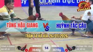 Trận 14 Xà Xía 26/1/2026 - Điều Anh Huỳnh Có Chân Xạo Lờ, Đỏ Chết Cứng