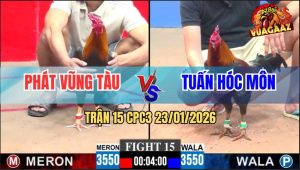 Trận 15 CPC3 23/1/2026 - Gà Điều Anh Phát Nuối Ói Phản Ăn 2 Biện Đi Xa