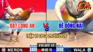 Trận 15 CPC3 29/1/2026 - Gà Bông Anh Đạt May Độ, Phản Ăn 2 Quá Hay