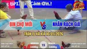 Trận 15 Xà Xía 10/1/2026 - Điều Nắm Đầu Sút Gà Vàng Gục Ngay Tại Chỗ