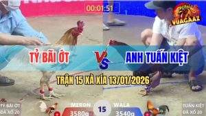 Trận 15 Xà Xía 13/1/2026 - Camelo Anh Tỷ Gồng Đến Hơi Thở Cuối Cùng