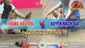 Trận 15 Xà Xía 14/1/2026 - Bướm Nằm Chờ Chết Bỗng Vùng Dậy Bung Chạy