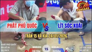 Trận 15 Xà Xía 24/1/2026 - Bướm Đâm Úa Nát Cổ Cần, Úa Té Tử Vong