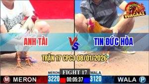 Trận 17 CPC3 8/1/2026 - Bướm Đá Chân Chí Mạng Khét Tử Vong Tại Chổ