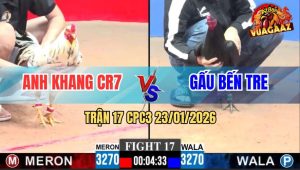 Trận 17 CPC3 23/1/2026 - Bướm Anh Khang Đá Chân 1 Ô Đập Cánh Giãy Chết