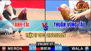 Trận 17 CPC3 27/1/2026 - Gà Điều Chú Tuấn Điện Đâm Như Chỉa
