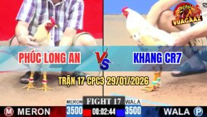 Trận 17 CPC3 29/1/2026 - Úa Má Minh Hạ Bướm Tính GaKing Chỉ 1 Nốt Nhạc