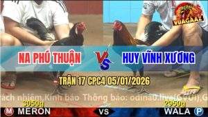 Trận 17 CPC4 5/1/2026 - Điều Đỏ Nghe Điện Thoại Bị Xanh Đá Bung Bồ
