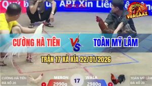 Trận 17 Xà Xía 22/1/2026 - Úa Bao Bồ Bị Điều Đâm Ho Ra Máu Lỏng