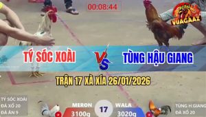 Trận 17 Xà Xía 26/1/2026 - Gà Anh Kiểm Đá Bướm Tích Thòng Lọng Bay Bồ