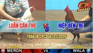 Trận 18 CPC4 16/1/2026 - Bướm Anh Luân Có Chân Xạo Lờ Đưa Anh Em Về Bờ