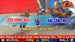 Trận 18 CPC5 28/1/2026 - Điều Đâm Như Máy Điện, Xám Té Nằm Bẹp Dí