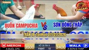 Trận 18 TonHon 7/1/2026 - Bướm Anh Đuôn Đang Đá Tê Giò Tuôn Chạy