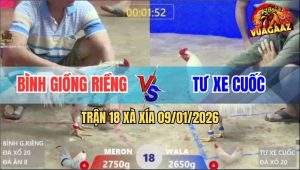 Trận 18 Xà Xía 9/1/2026 - Gà Úa Anh Tư Ra Chân Quá Nhanh Quá Nguy Hiểm