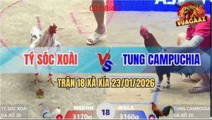 Trận 18 Xà Xía 23/1/2026 - Bướm Đá Bo Như Cây Đập Hạ Idol Kiểm Cà Mau