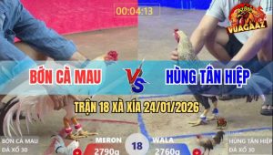 Trận 18 Xà Xía 24/1/2026 - Cú Ra Chân Chí Mạng Bướm Lọt Gió Té Hết Sửa