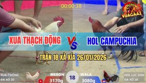 Trận 18 Xà Xía 26/1/2026 - Úa Đâm Điều Trào Máu, Chủ Gà Xin Thua Non