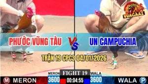 Trận 19 CPC3 4/1/2026 - Điều Xanh Anh Un CPC Đâm Gà Vàng Chạy Cắm Đầu