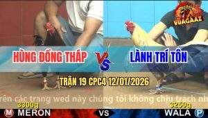 Trận 19 CPC4 12/1/2025 - Gà Điều Đâm Quá Ác, Chuối Mã Nổ Nằm Bẹp Dí